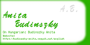 anita budinszky business card